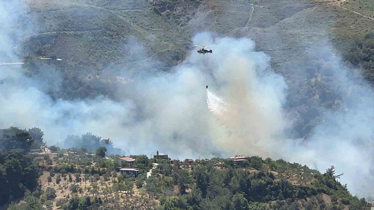 Hatay’da orman yangını