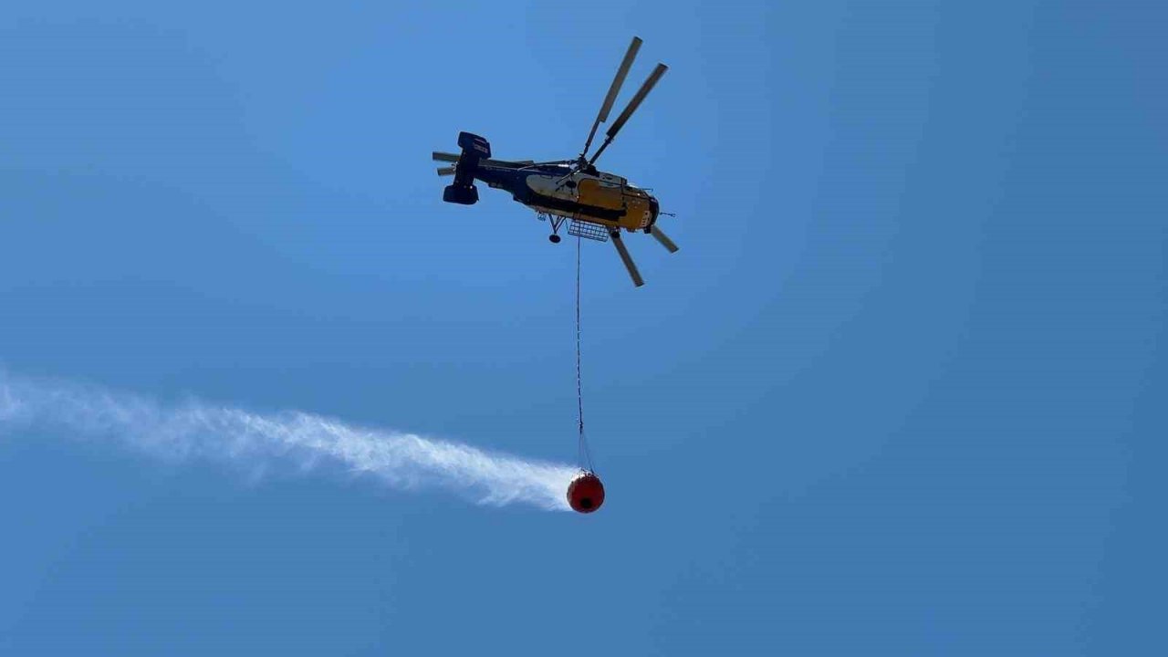 Hatay’da orman yangını