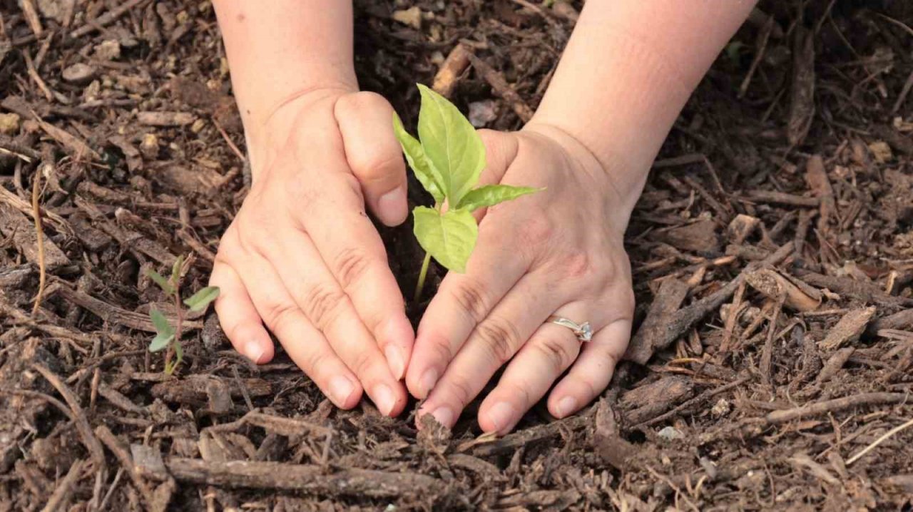 Kadın girişimcilere destek