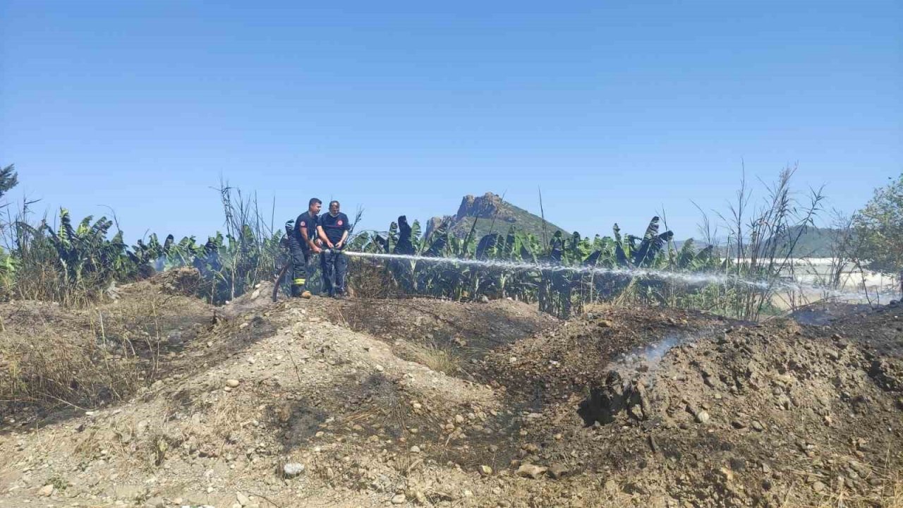 Muz bahçesinde korkutan yangın