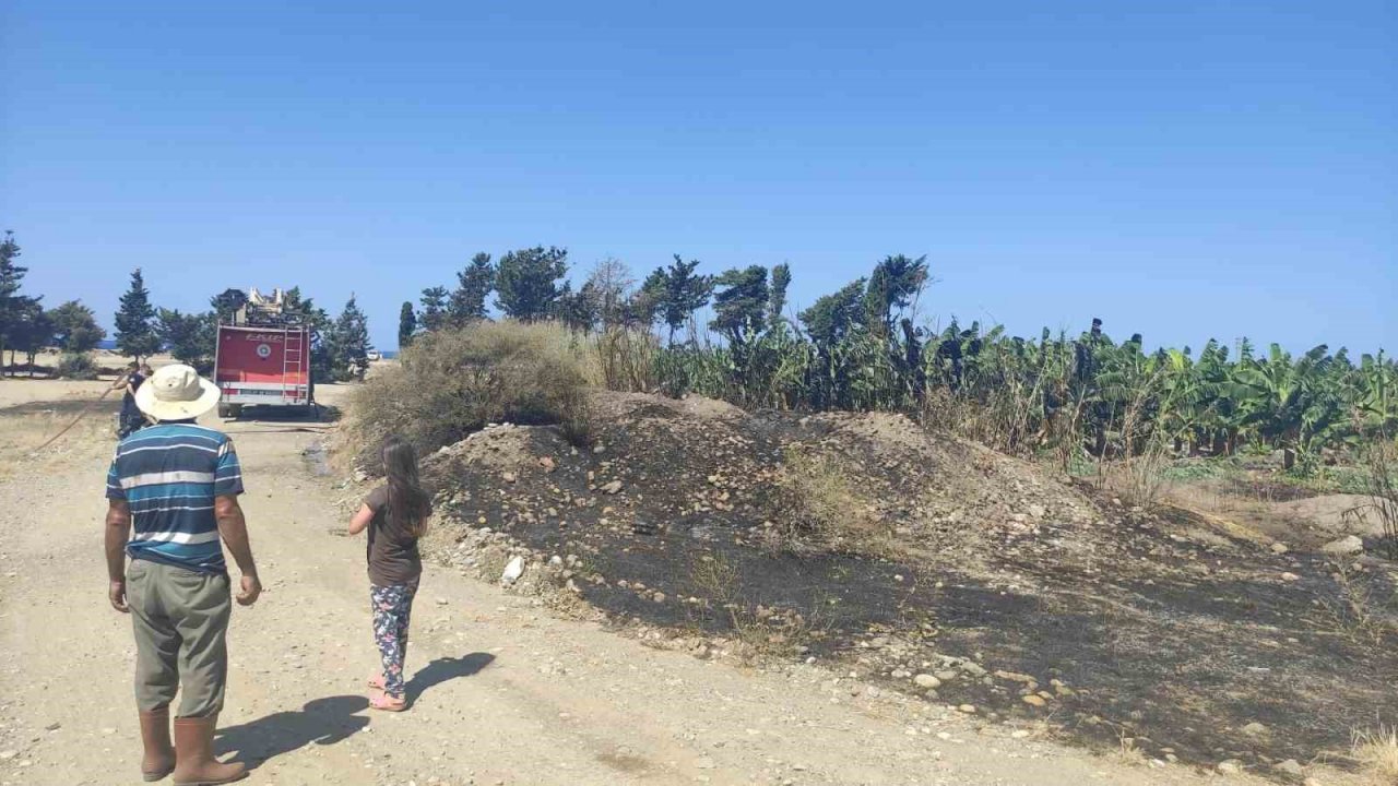 Muz bahçesinde korkutan yangın