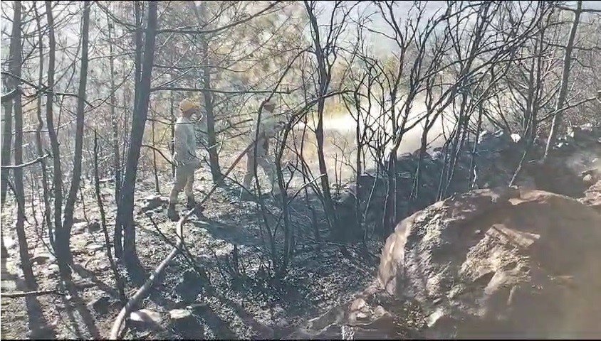 Osmaniye’de orman yangını kontrol altına alındı