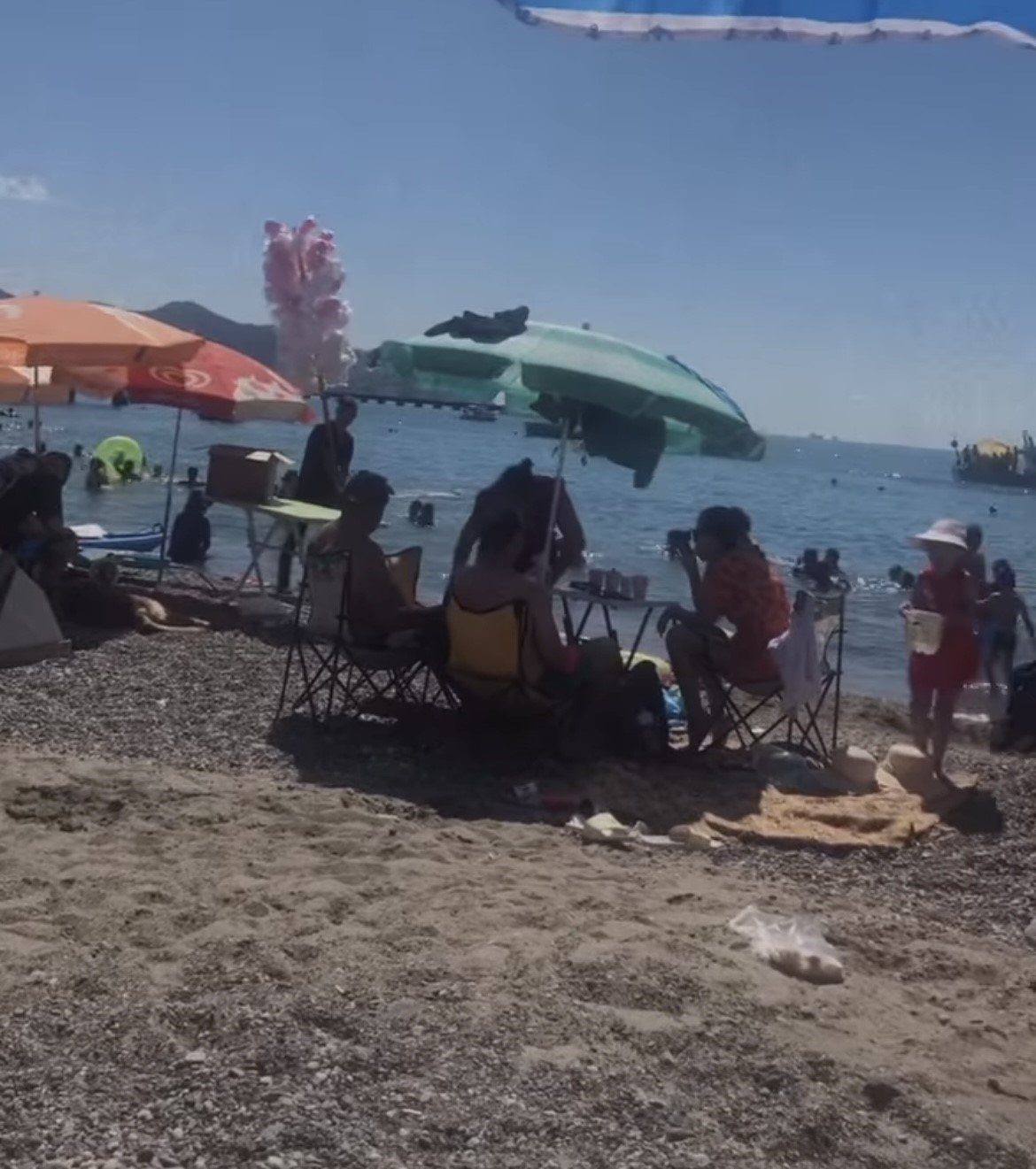 Filyos sahilinde çıkan yılan korkuttu