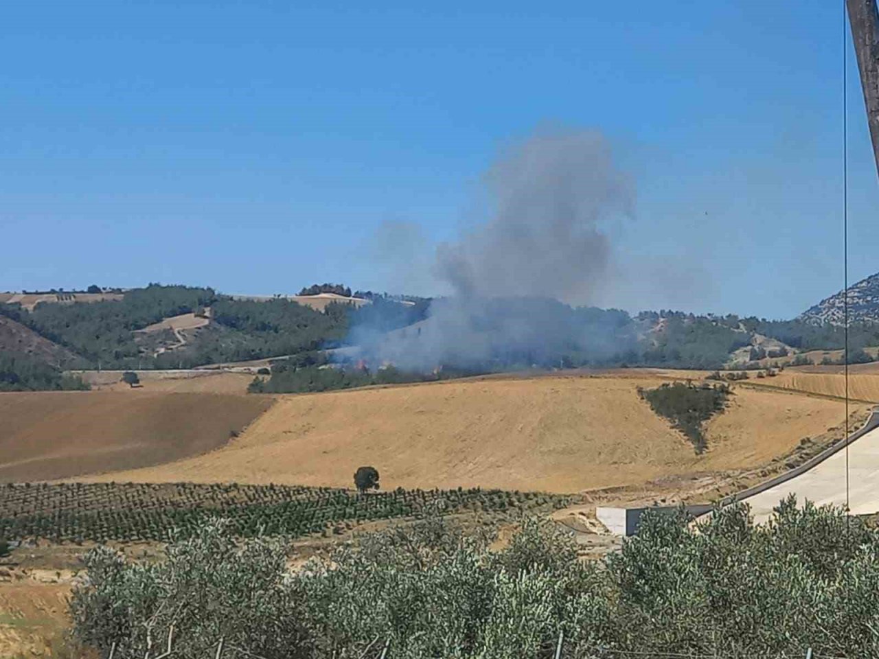 Adana’da orman yangını çıktı