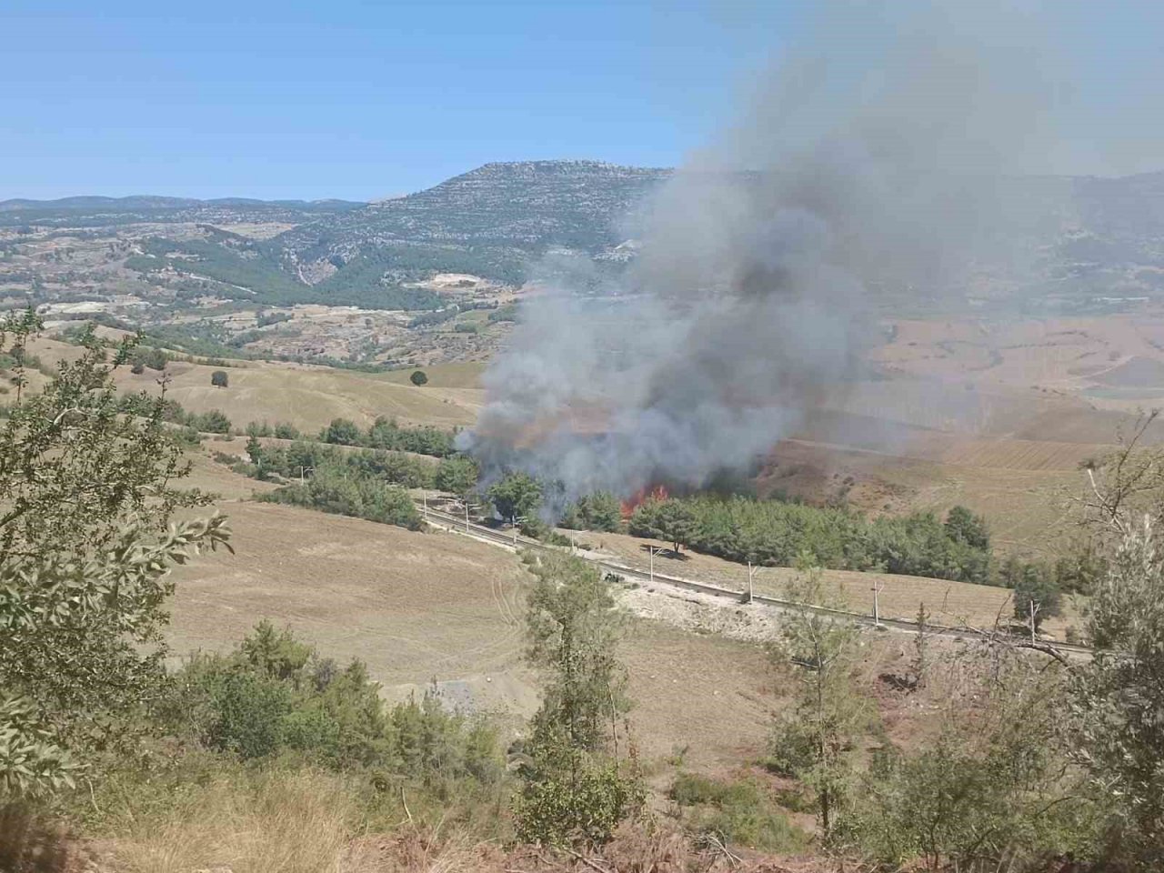 Adana’da orman yangını çıktı