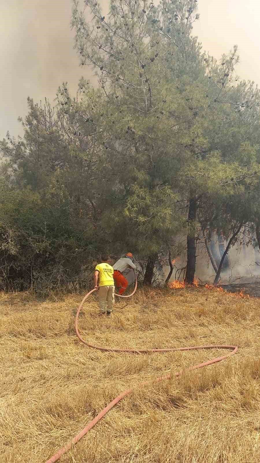 Adana’da orman yangını çıktı