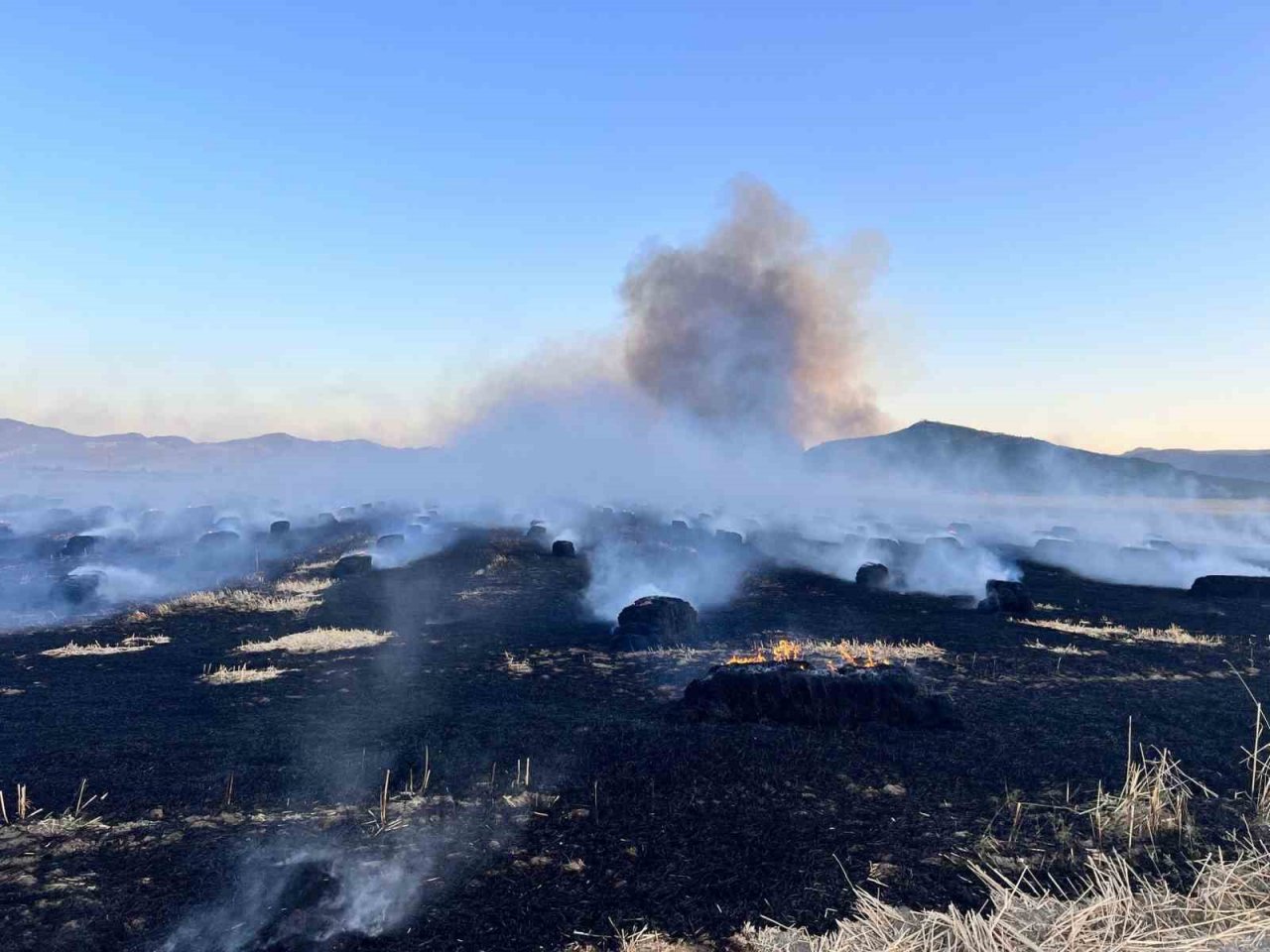 Burdur’da 300 dekarlık tarım arazisi ve saman balyaları küle döndü
