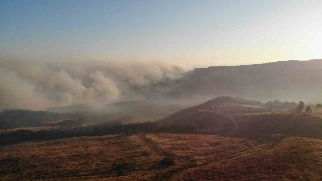 Çanakkale’deki orman yangını dron ile havadan görüntülendi