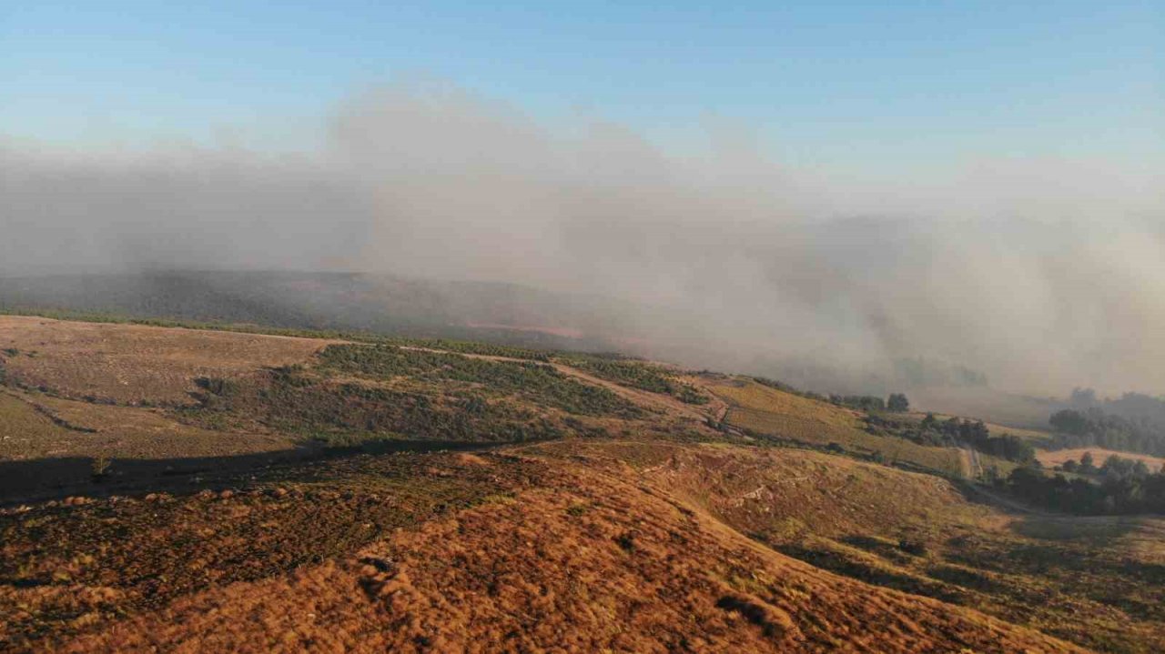 Çanakkale’deki orman yangını dron ile havadan görüntülendi