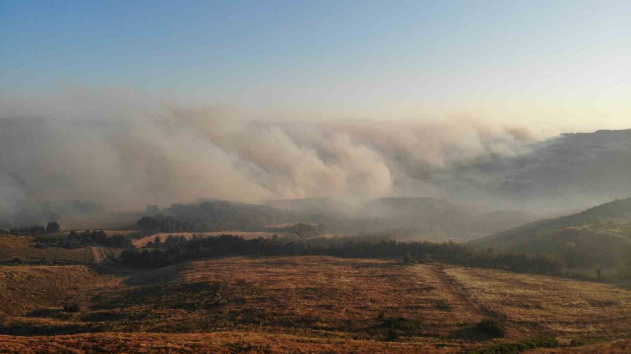 Çanakkale’deki orman yangını dron ile havadan görüntülendi