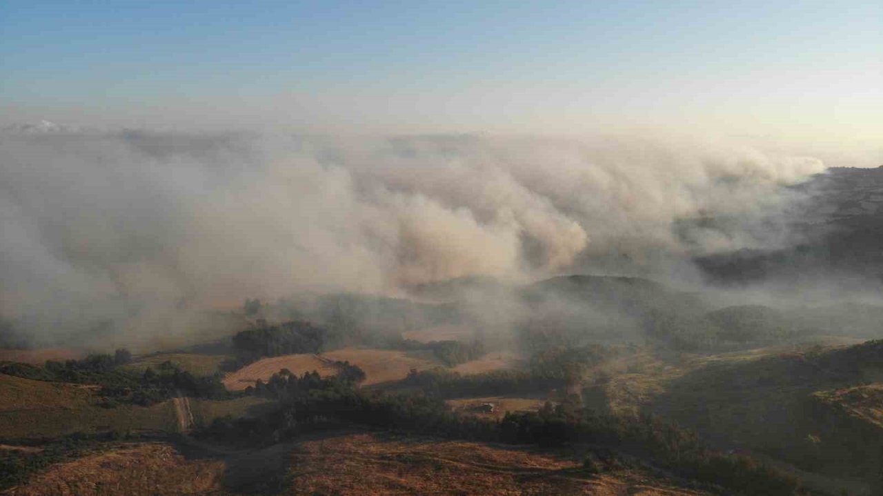 Çanakkale’deki orman yangını dron ile havadan görüntülendi