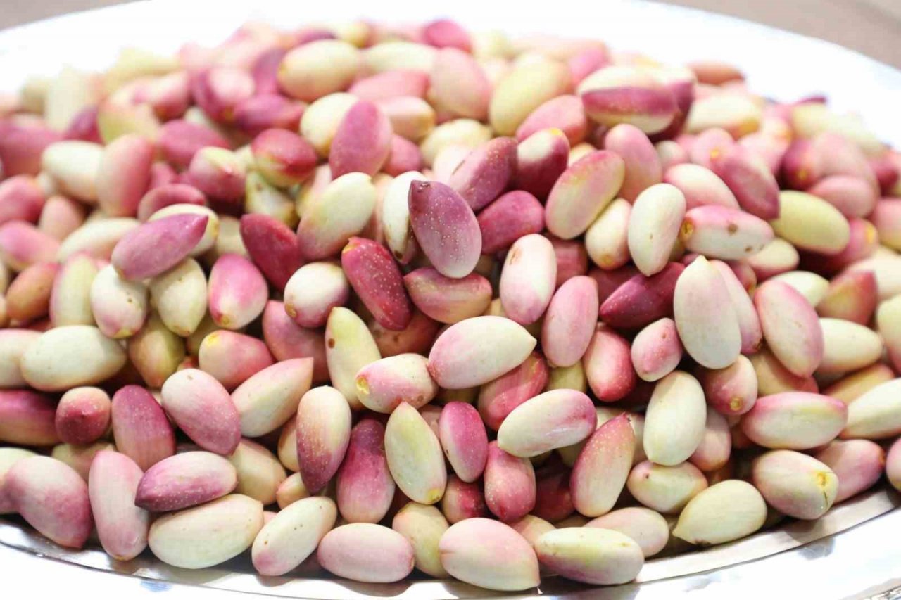 Yılın ilk Antep fıstığına GTB’den ödül