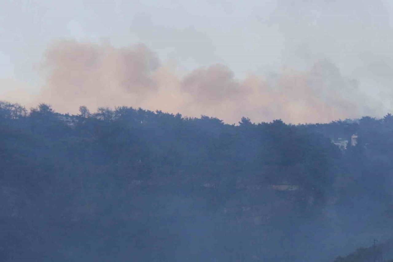 Hatay’daki orman yangına havadan müdahale tekrardan başladı