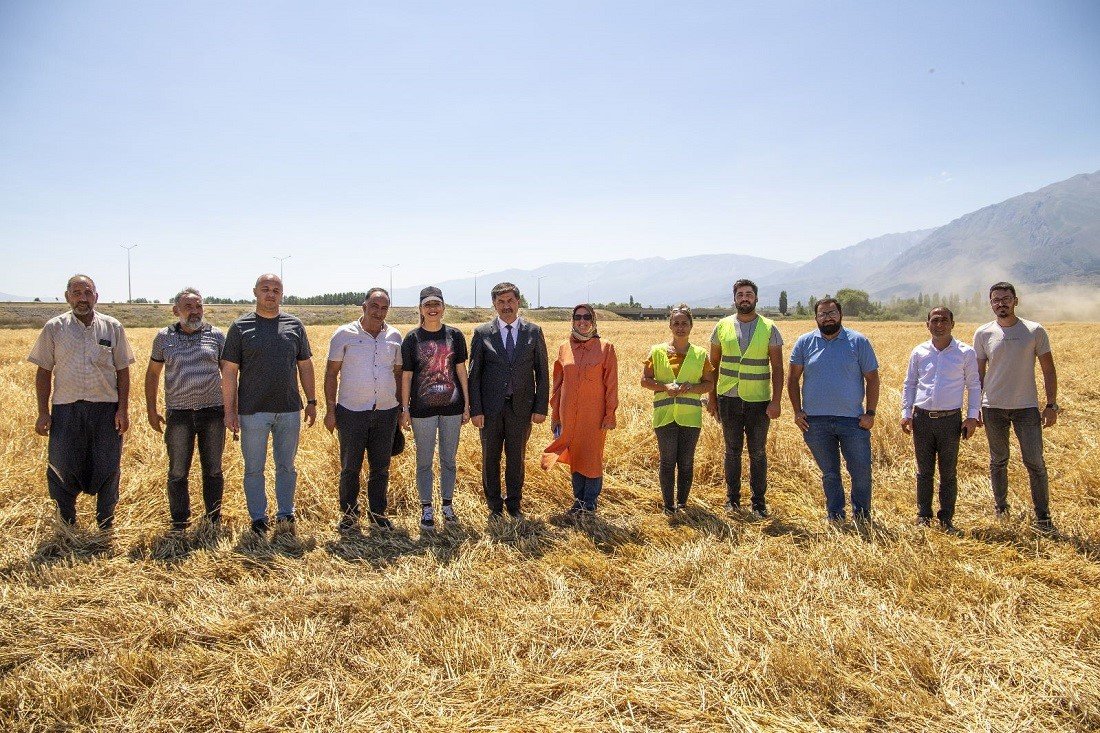 Hububat tarlalarında biçerdöver ile hasat işlemleri başladı