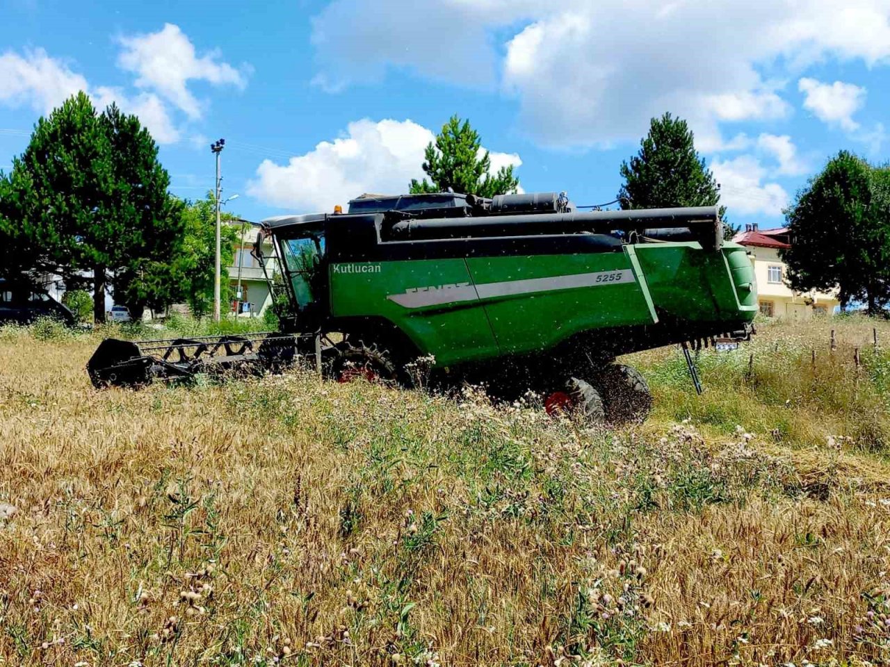 Kavak’ta buğday hasadı
