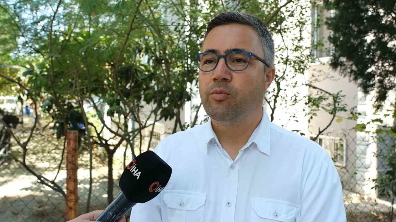 Artan sivrisinek popülasyonu hastanelere başvuruları artırdı