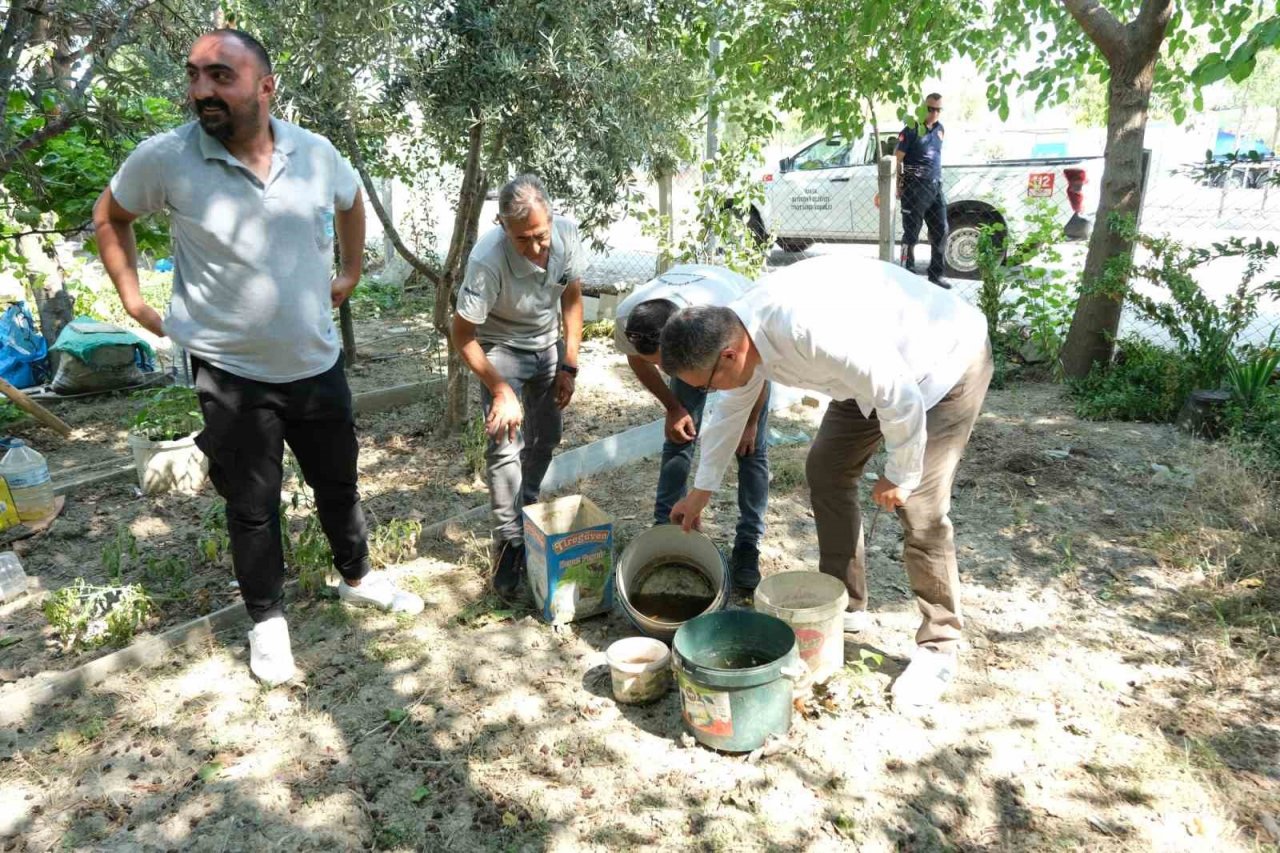 Artan sivrisinek popülasyonu hastanelere başvuruları artırdı