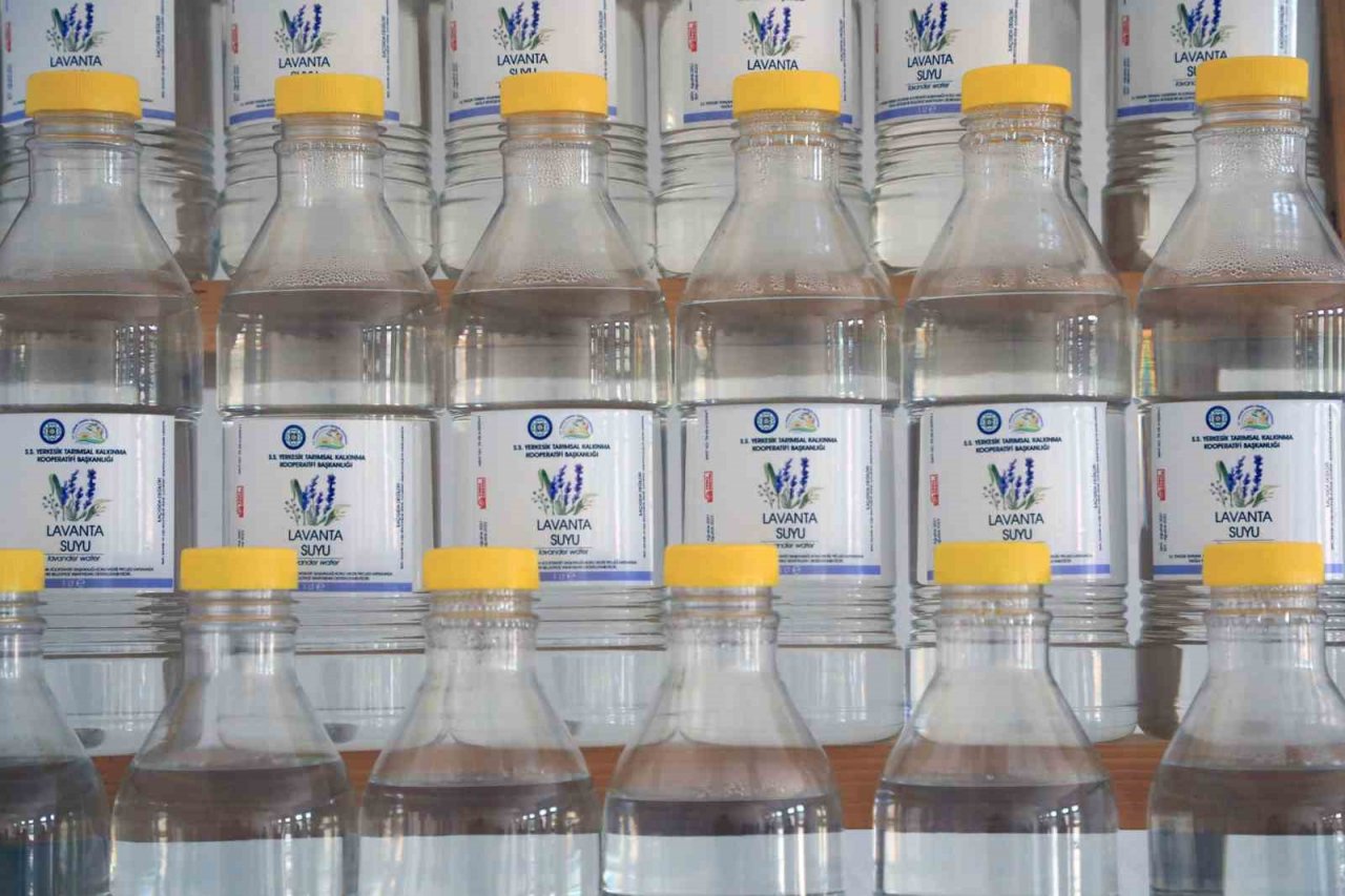 Büyükşehir desteği ile 212 dekar arazi Lavanta ile buluştu