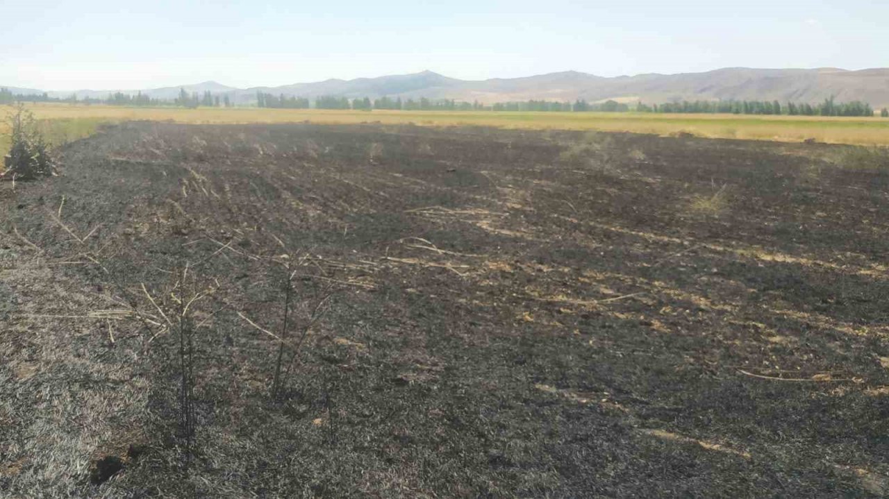 Sivas’ta tarla yangınında 50 dönüm ekili alan kül oldu