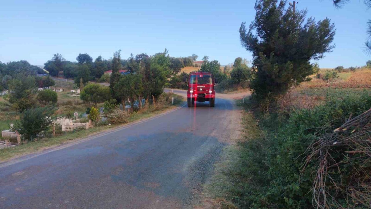 Tekirdağ’daki yangında iki mahalle boşaltılıyor