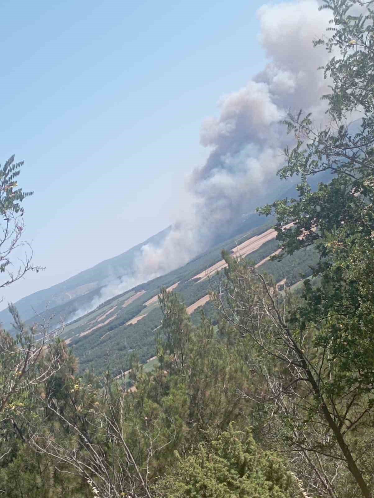 Tekirdağ’daki yangında iki mahalle boşaltılıyor