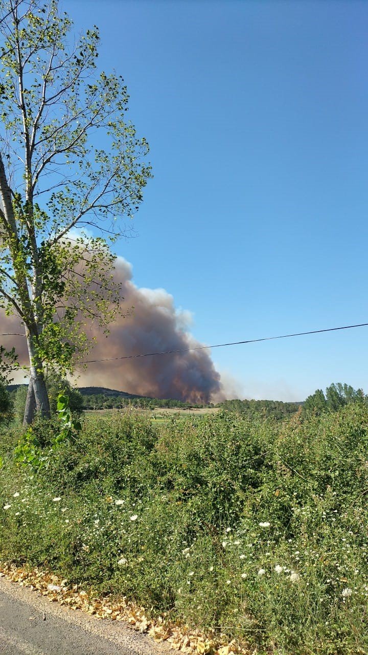 Tekirdağ’daki yangında iki mahalle boşaltılıyor