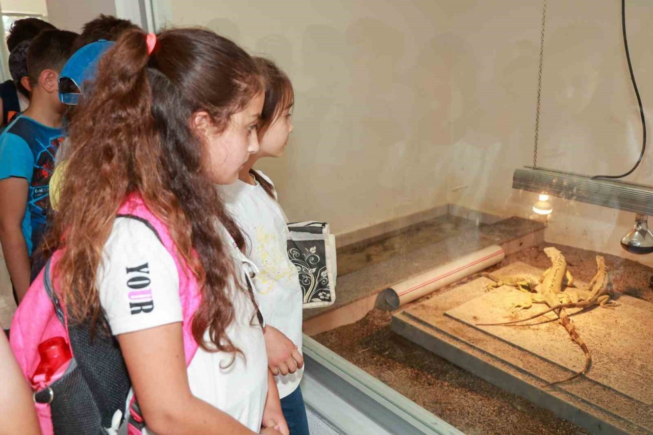 Yaz okulu öğrencileri hayvanat bahçesini gezdi