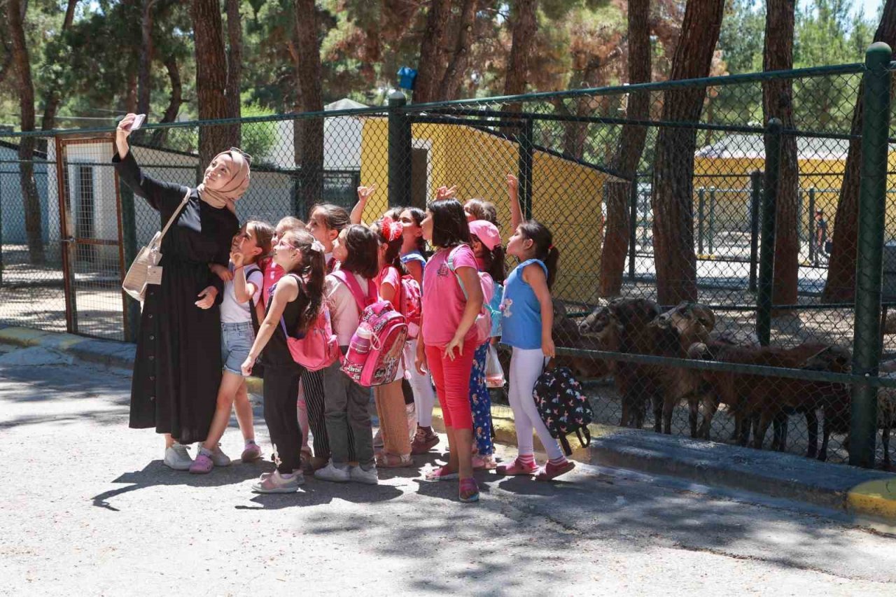Yaz okulu öğrencileri hayvanat bahçesini gezdi