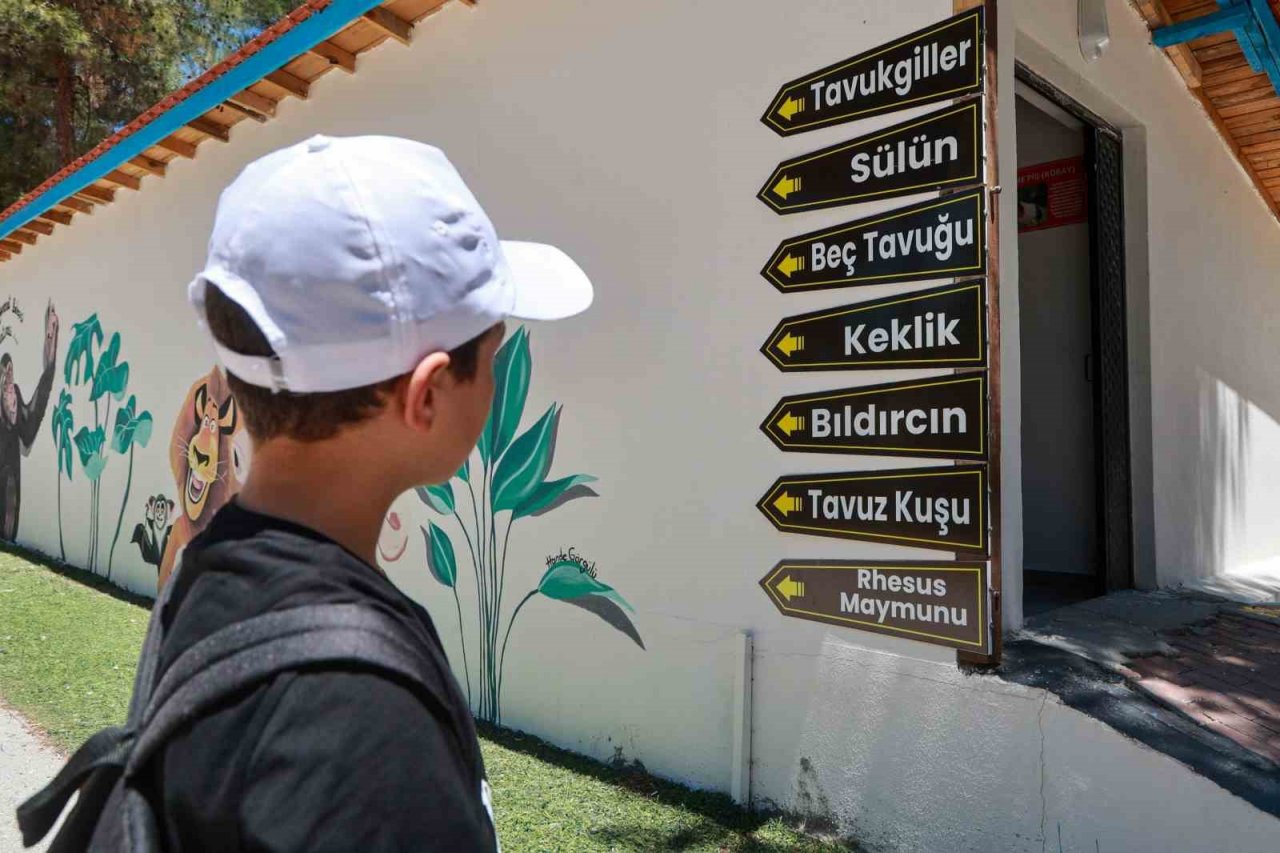 Yaz okulu öğrencileri hayvanat bahçesini gezdi