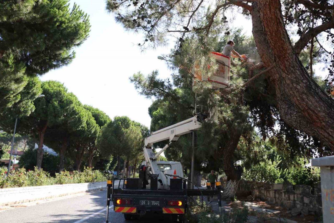 Söke Belediyesi ekipleri Güllübahçe’de temizlik çalışması başlattı