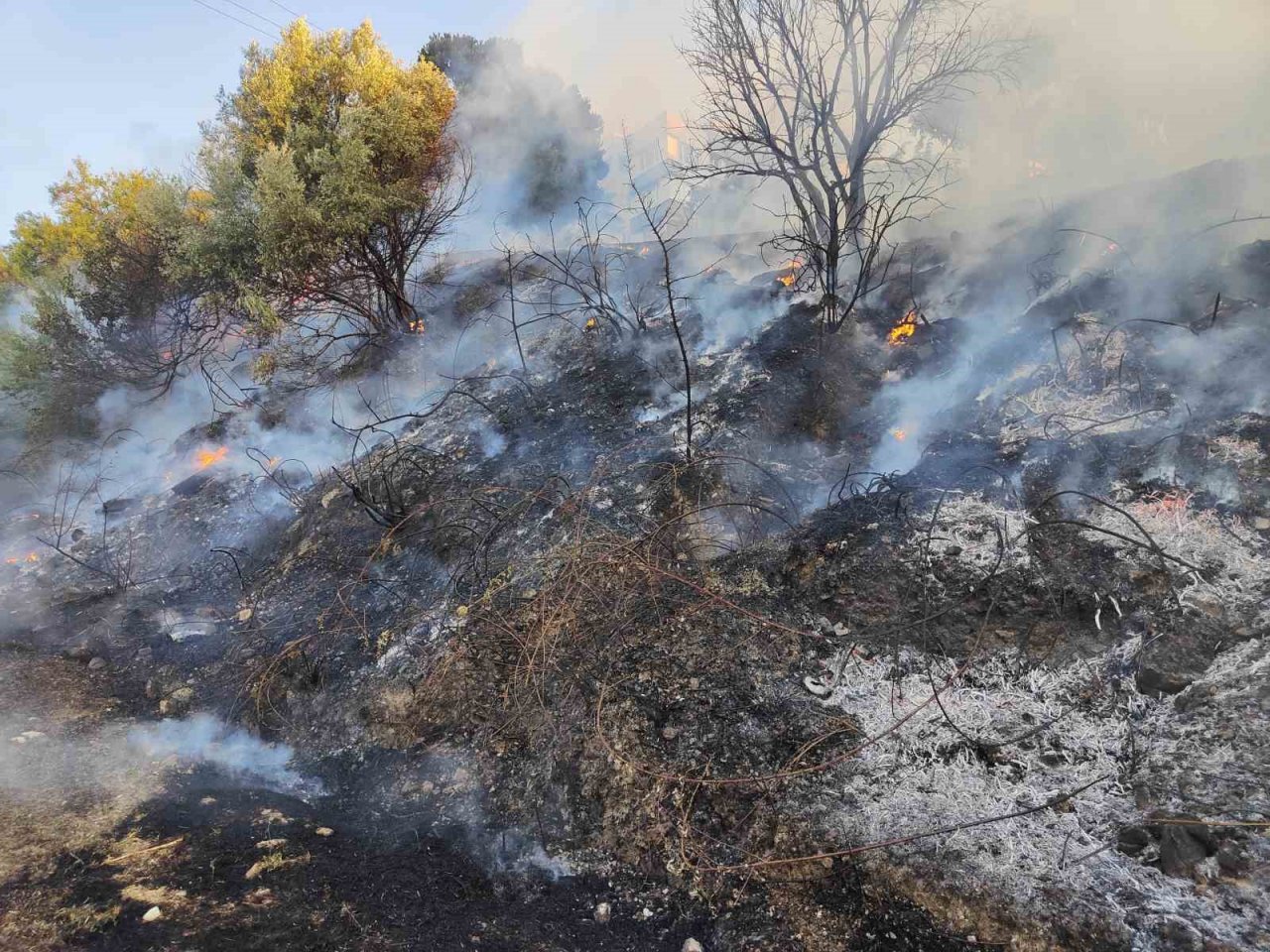 Kuşadası’nda korkutan yangın