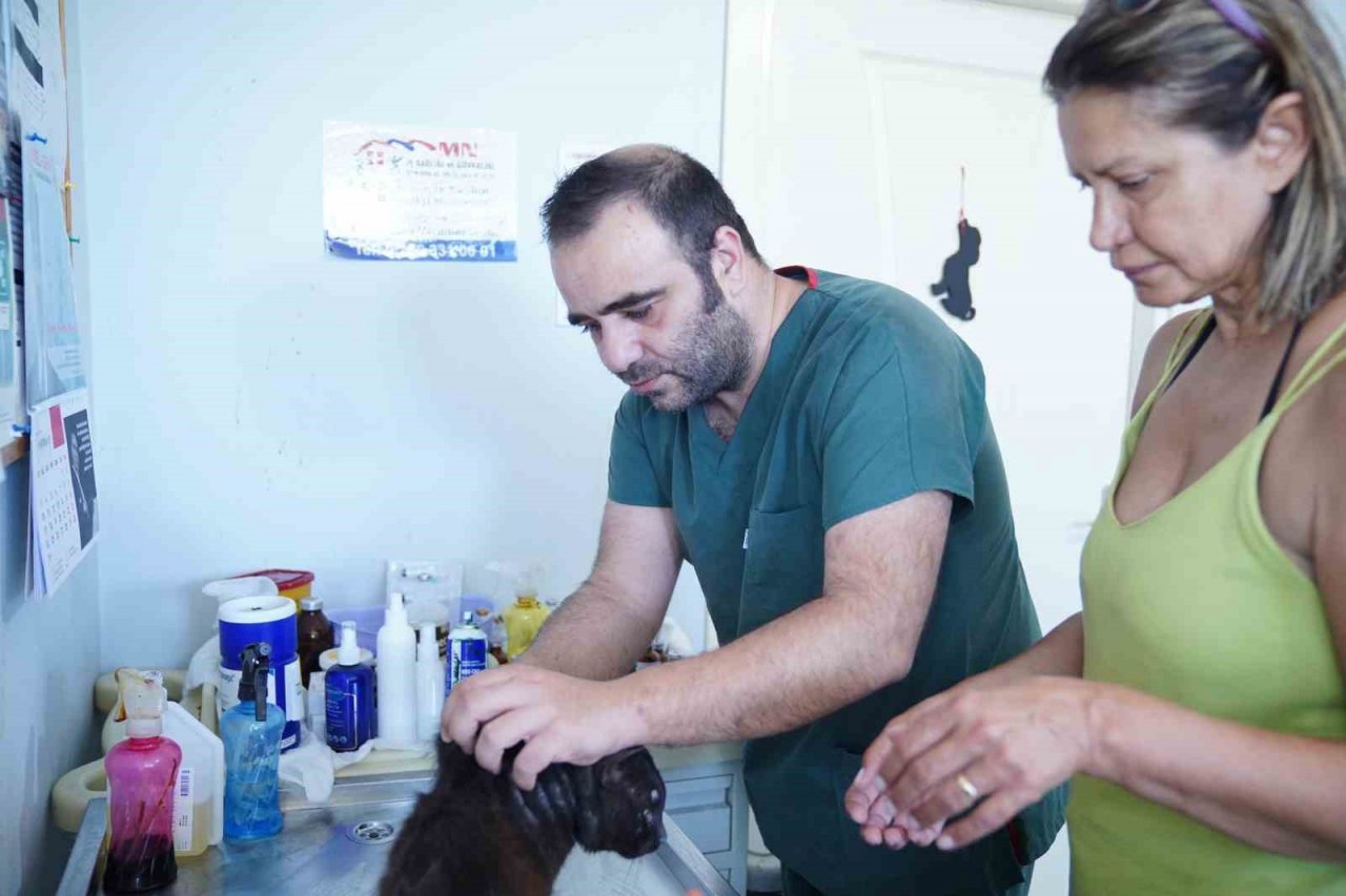 Ayvalık Belediyesi sokaktaki canların yanında