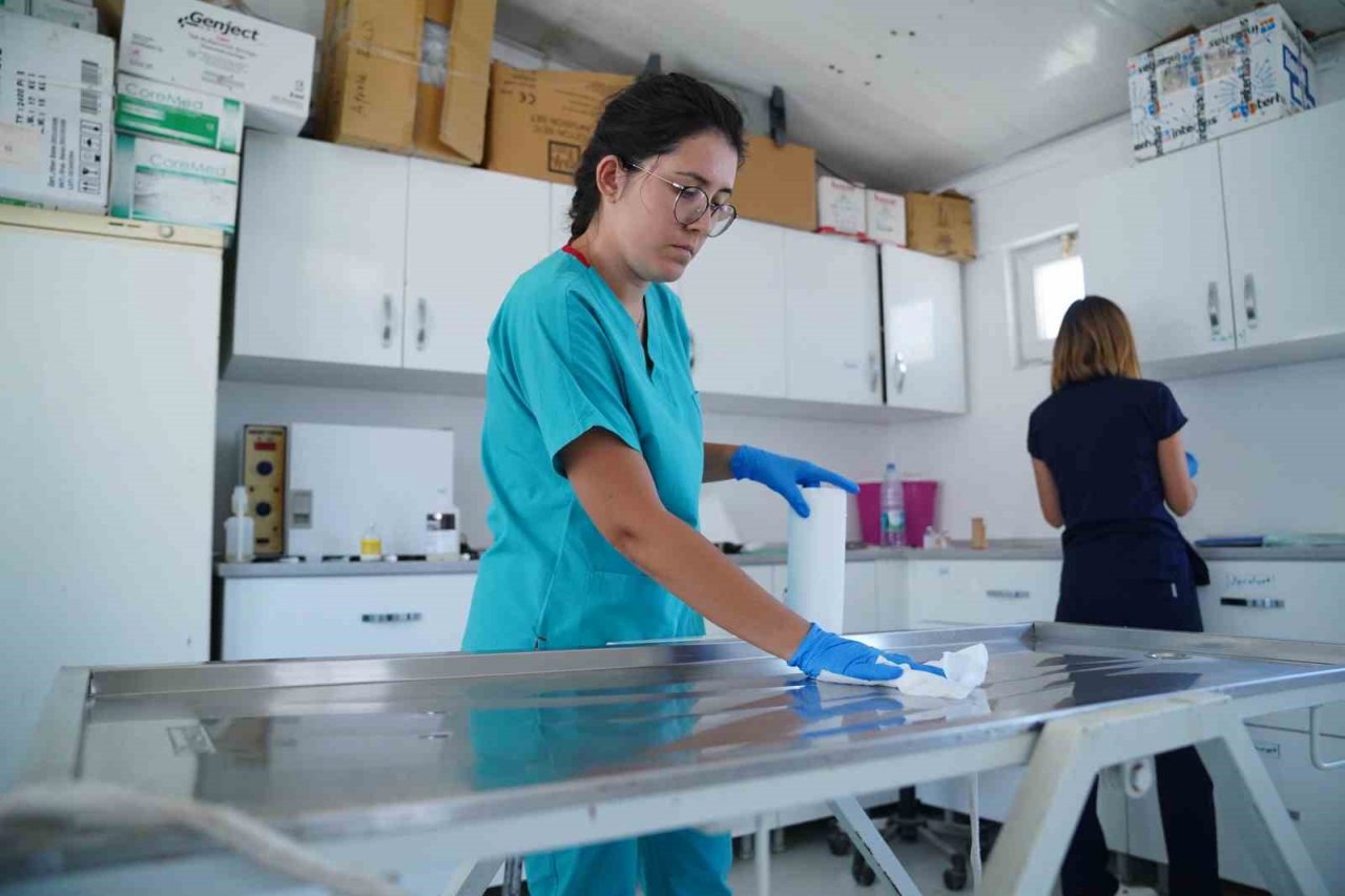 Ayvalık Belediyesi sokaktaki canların yanında