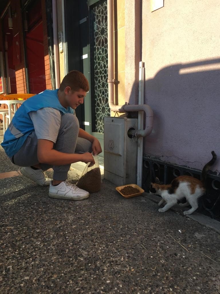 Balıkesirli Ülkücü gençlerden sokak hayvanlarına mama