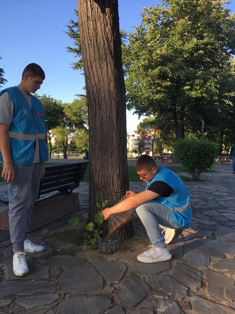 Balıkesirli Ülkücü gençlerden sokak hayvanlarına mama