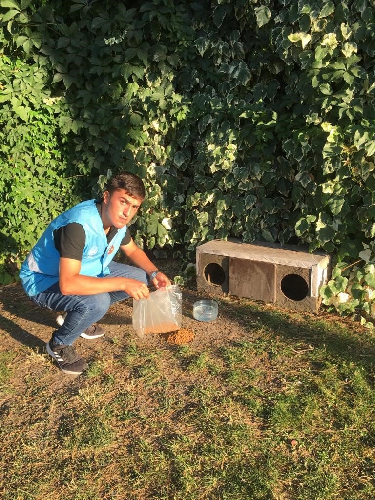 Balıkesirli Ülkücü gençlerden sokak hayvanlarına mama