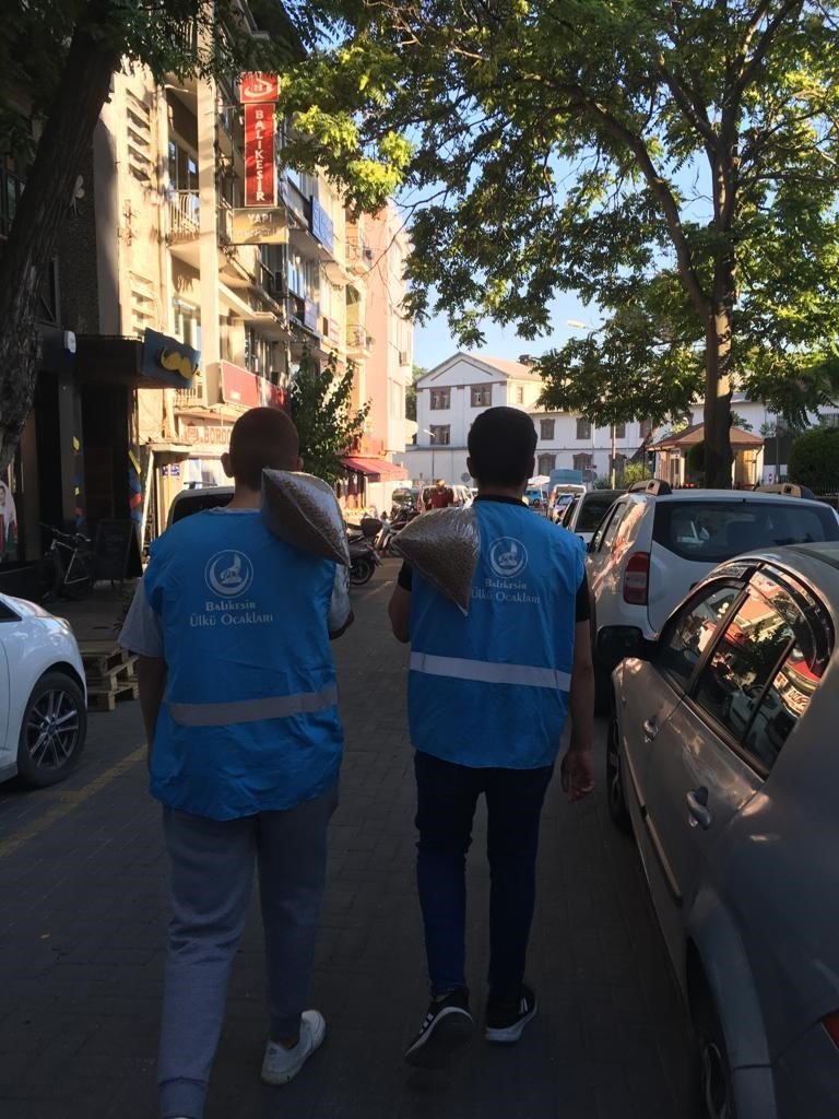 Balıkesirli Ülkücü gençlerden sokak hayvanlarına mama