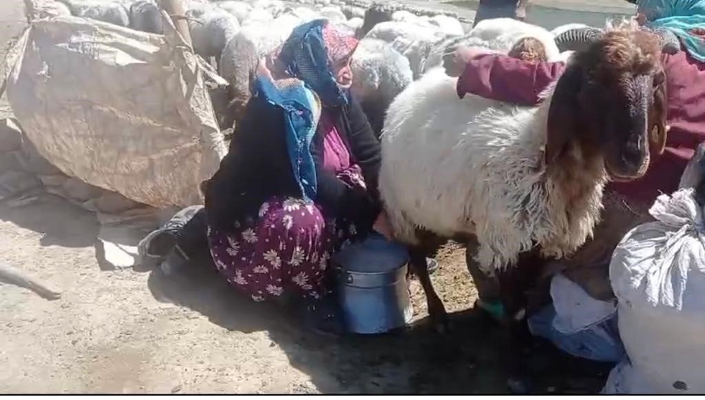 Yaylada ürettiği hayvansal ürünleri Türkiye’nin dört bir yanına satıyor