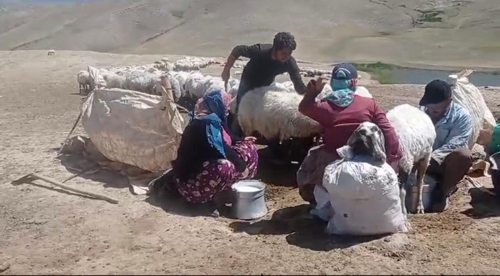 Yaylada ürettiği hayvansal ürünleri Türkiye’nin dört bir yanına satıyor