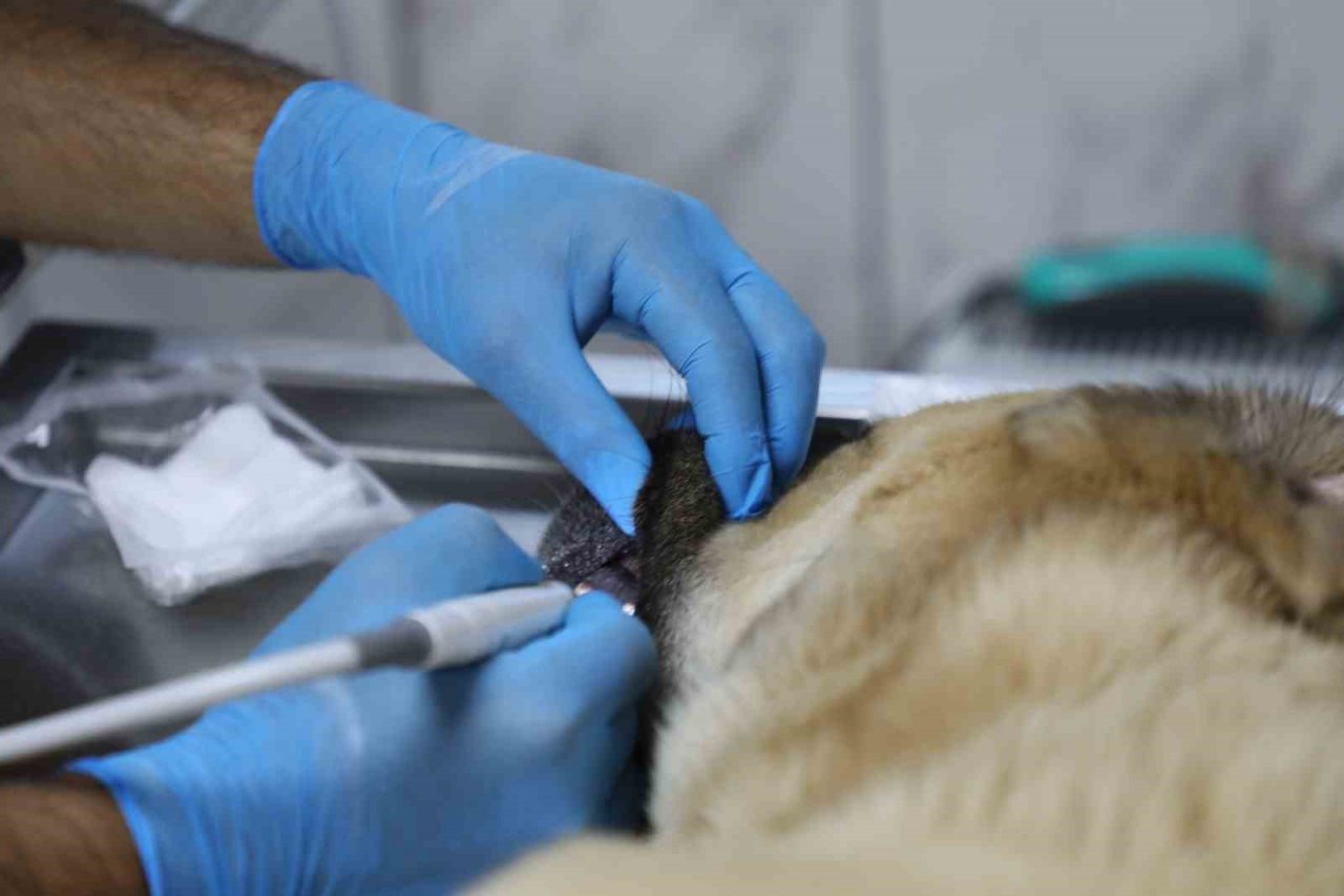 Büyükşehir’den candostların sağlık kalitesini artıran hizmet