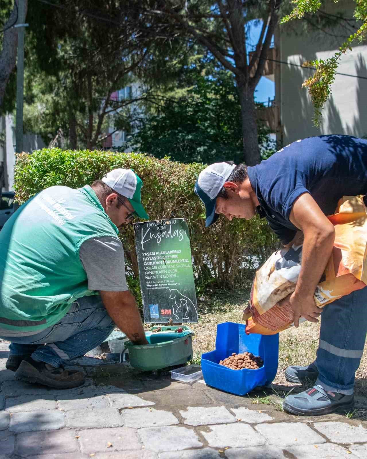Kuşadası Belediyesi’nden sokak hayvanlarına su ve mama desteği