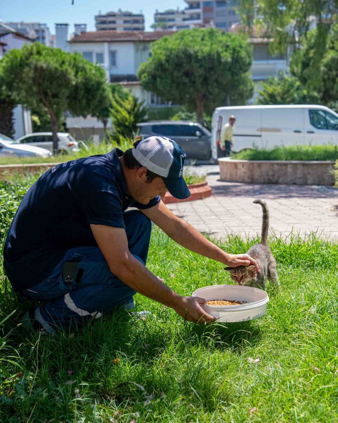 Kuşadası Belediyesi’nden sokak hayvanlarına su ve mama desteği