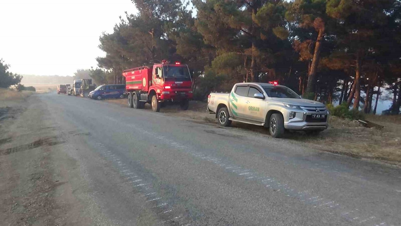 Çanakkale’deki orman yangınına 38. saatte ekipler müdahale etmeye devam ediyor