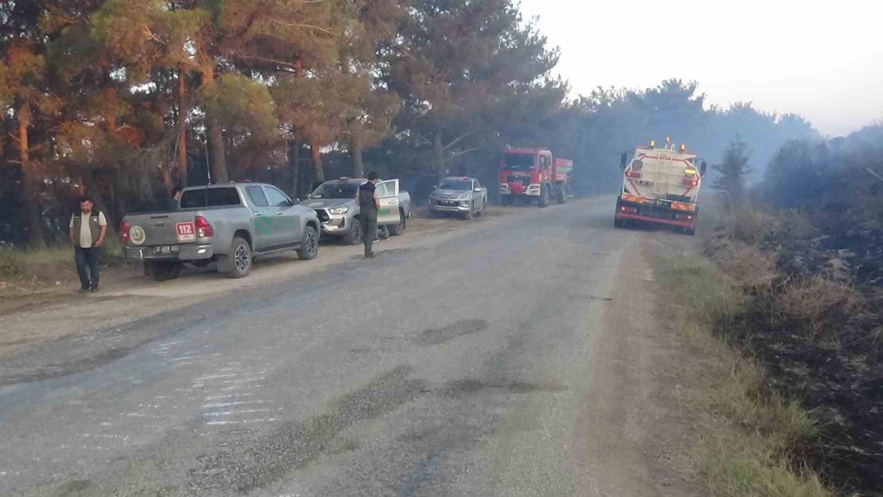 Çanakkale’deki orman yangınına 38. saatte ekipler müdahale etmeye devam ediyor