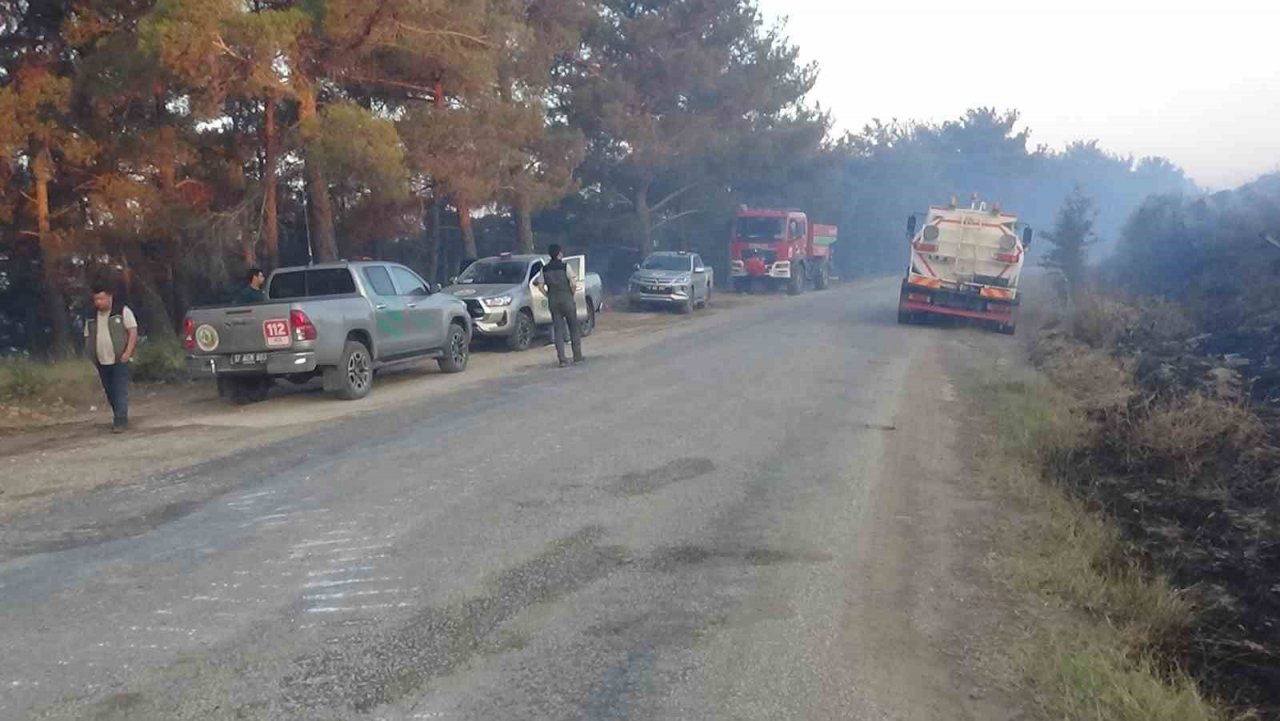 Çanakkale’deki orman yangınına 38. saatte ekipler müdahale etmeye devam ediyor