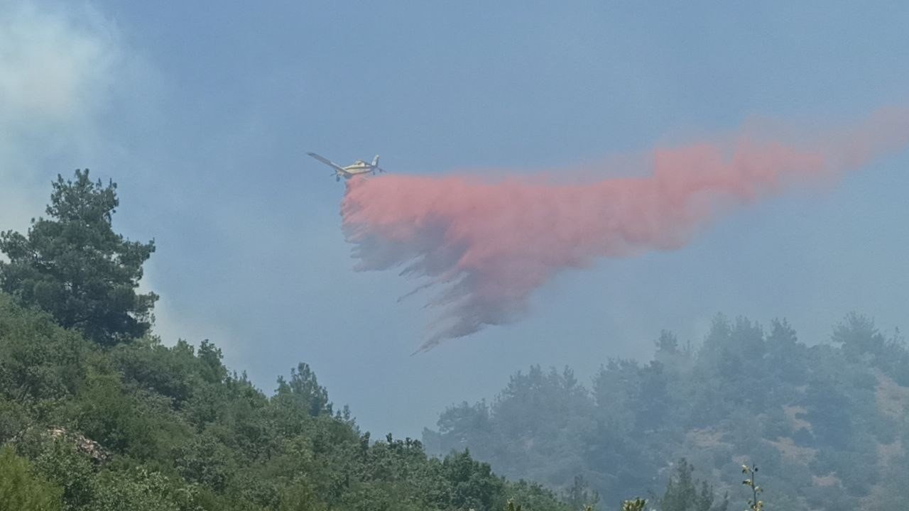 Çanakkale’de 3 gündür devam eden orman yangınına müdahale sürüyor
