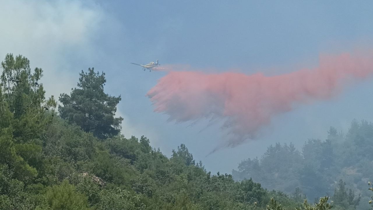 Çanakkale’de 3 gündür devam eden orman yangınına müdahale sürüyor