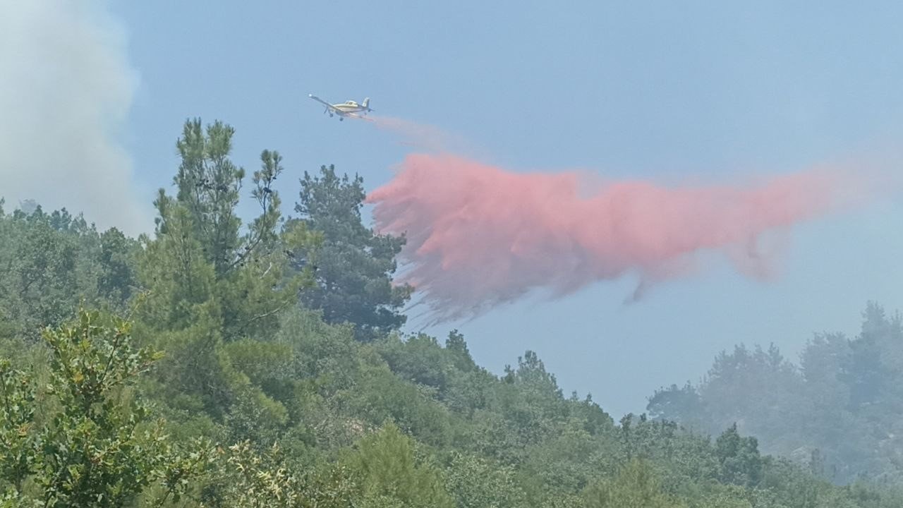 Çanakkale’de 3 gündür devam eden orman yangınına müdahale sürüyor