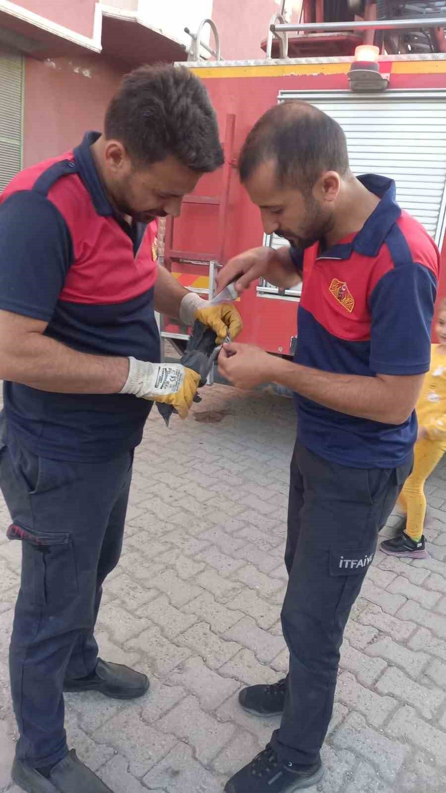 Çatıya sıkışan karga kurtarıldı