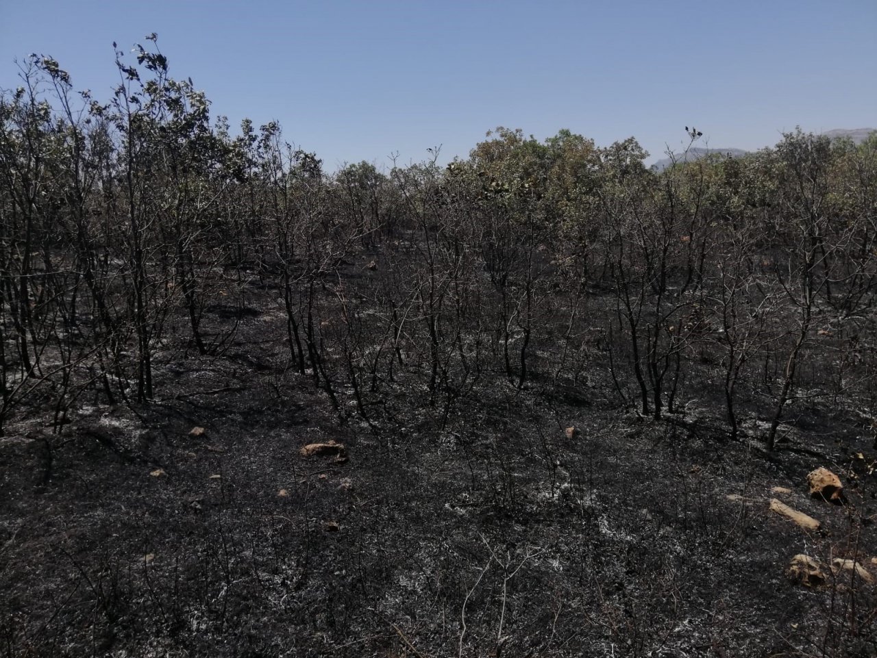 Diyarbakır’da 18 saattir devam eden yangın kontrol altına alındı